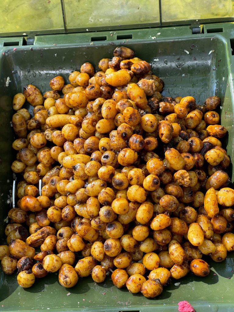 Тигровый орех для рыбалки