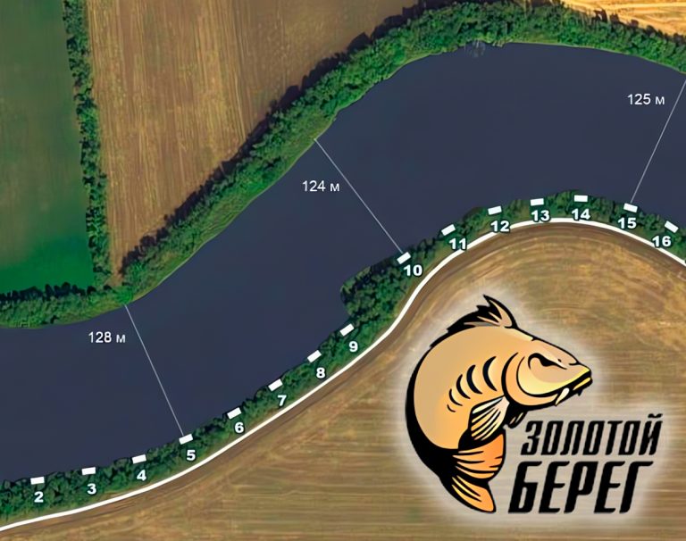 Клуб трофейной рыбалки "Золотой Берег"